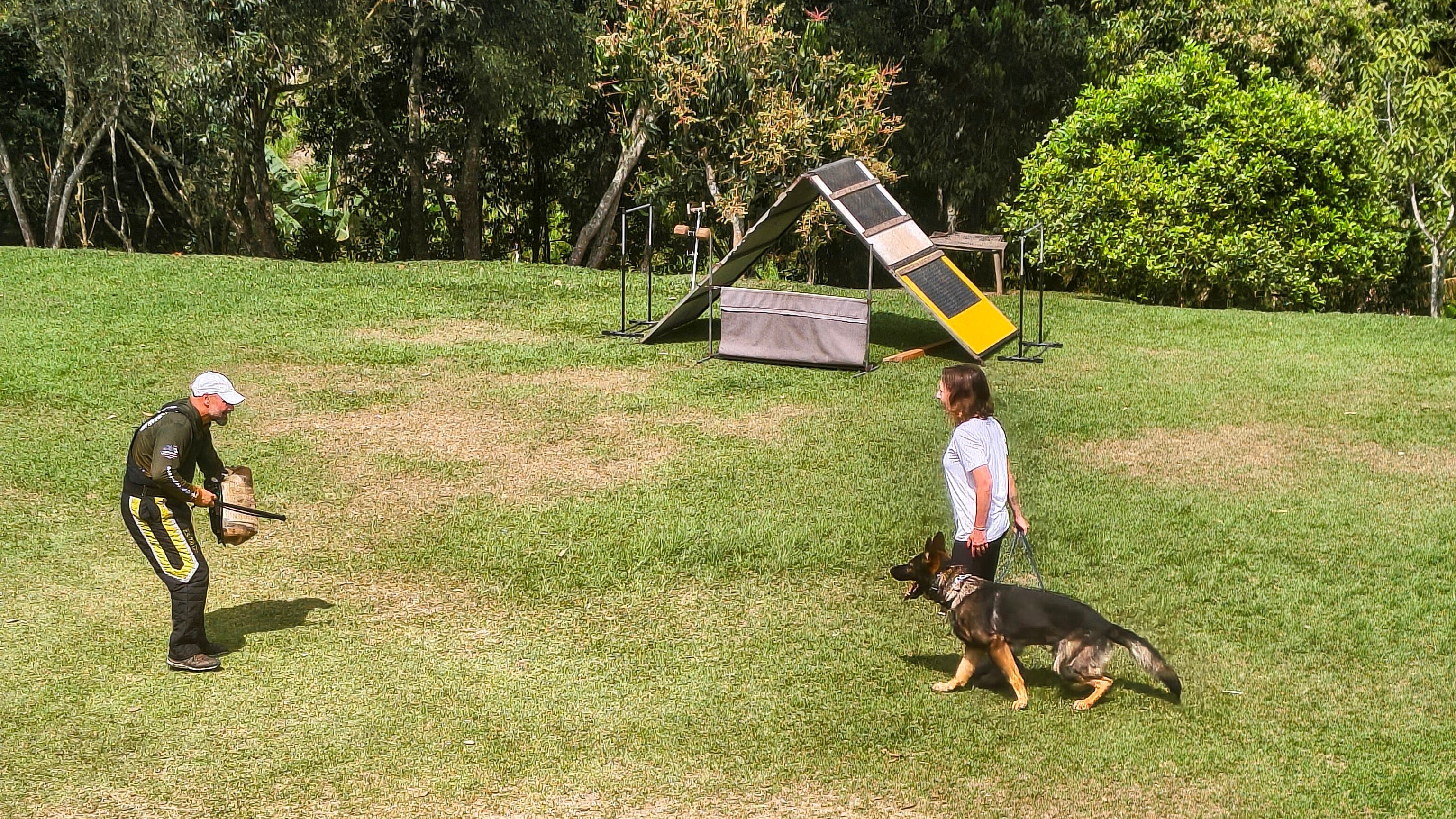 Treino de cão e condutor no campo