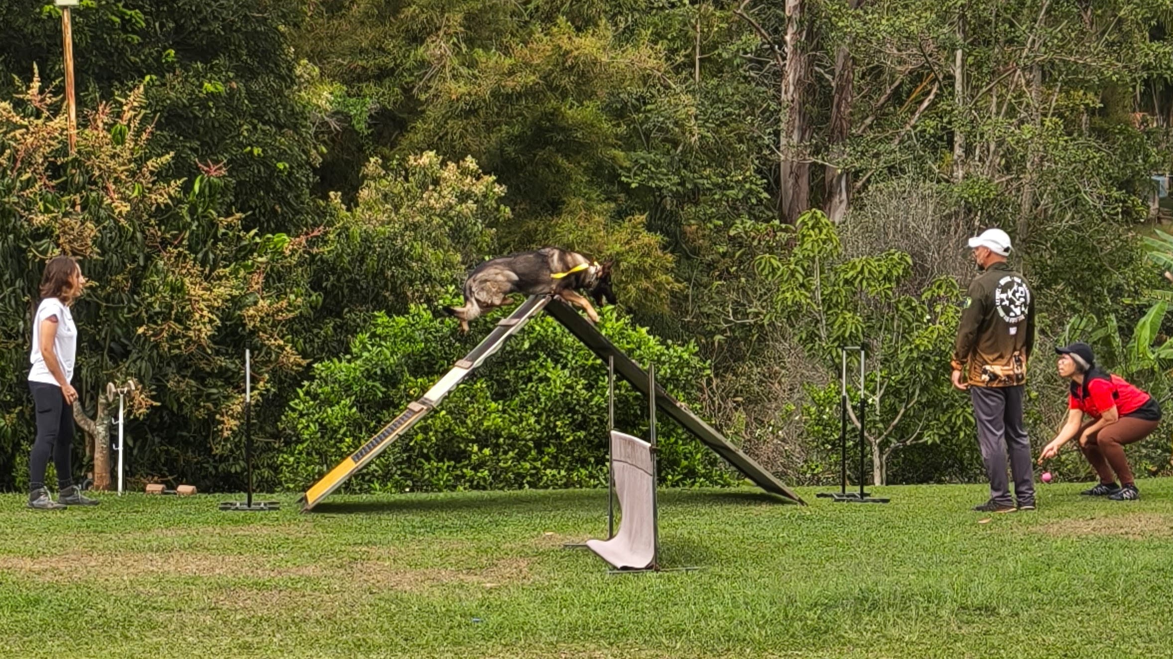 Dupla durante treino de IGP em campo aberto