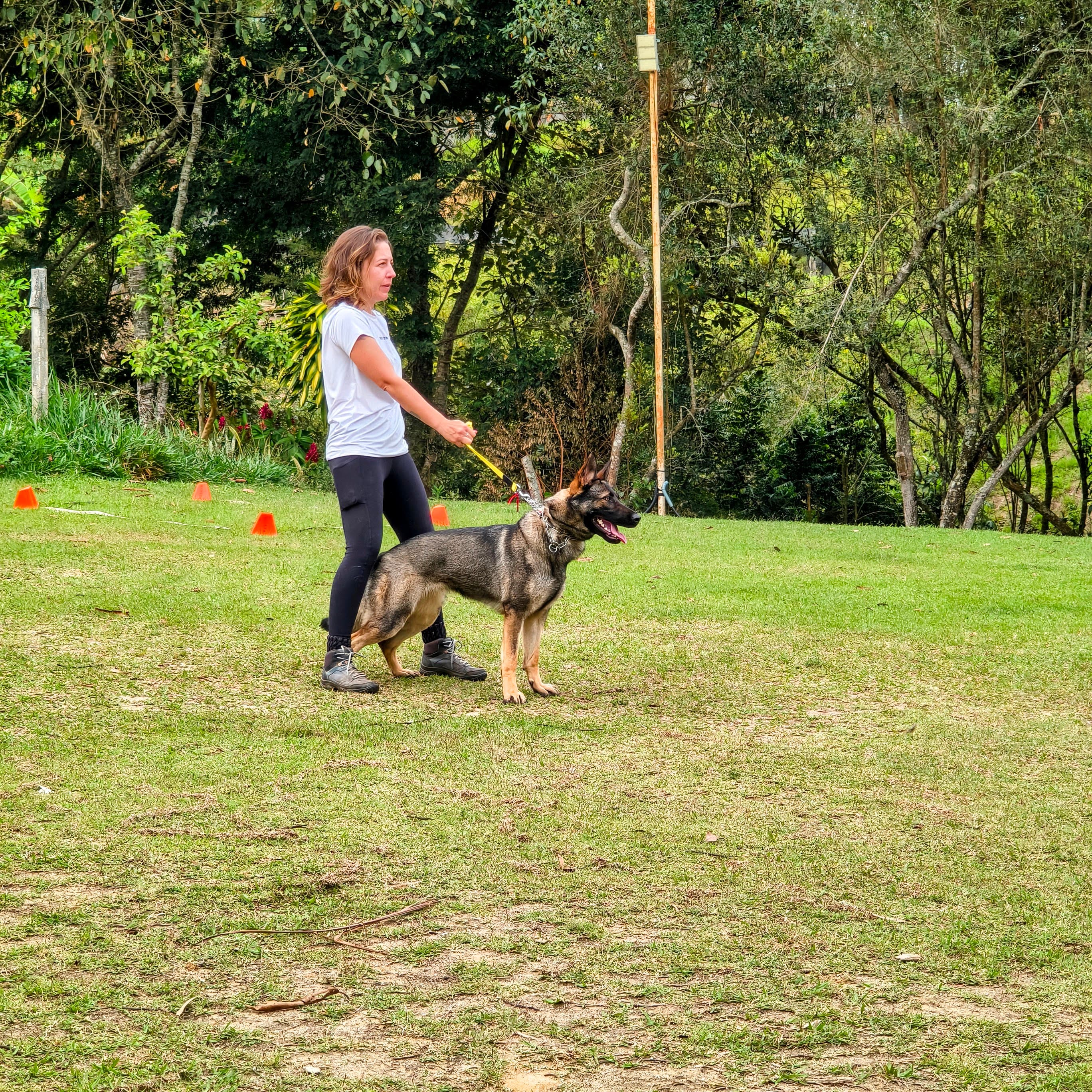 Condutor e cão em atividade de treino de IGP